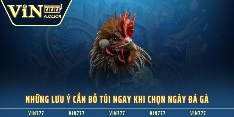 Những lưu ý cần bỏ túi ngay khi chọn ngày đá gà