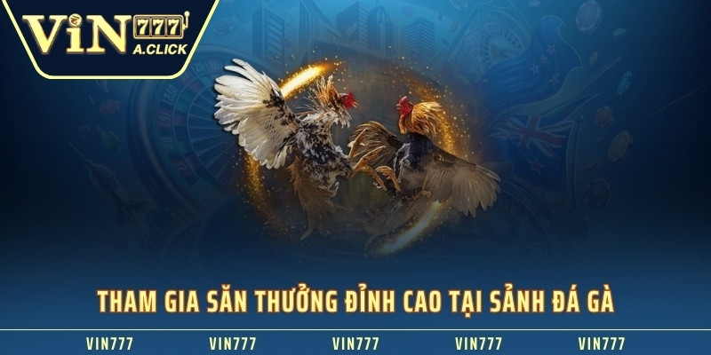 Tham gia săn thưởng đỉnh cao tại sảnh đá gà VIN777